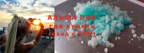 амф Ельня