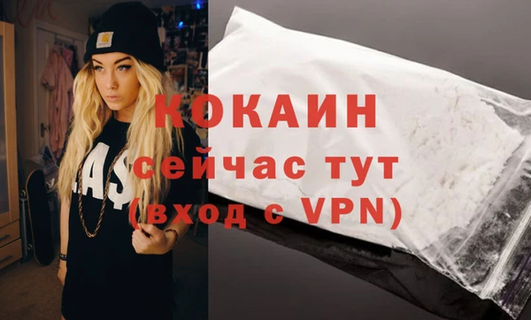 дживик Елабуга