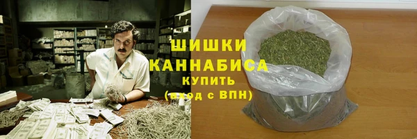 дживик Елабуга