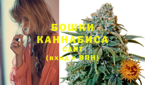 амф Ельня