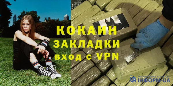 амф Ельня