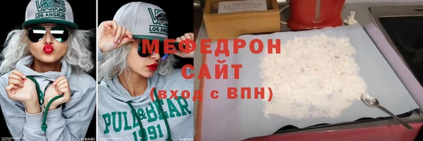 амф Ельня