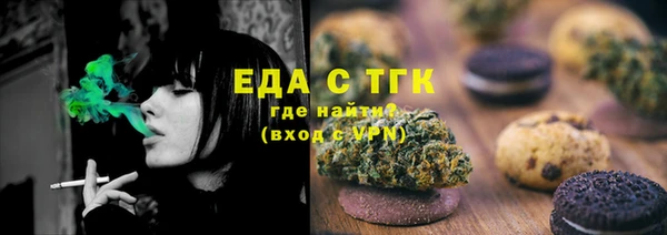 амф Ельня