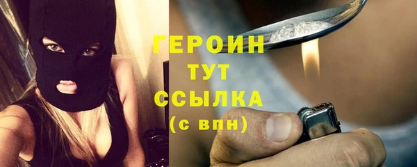амф Ельня