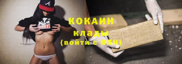 дживик Елабуга