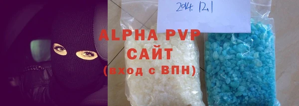 амф Ельня