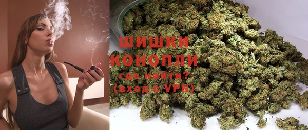 амф Ельня