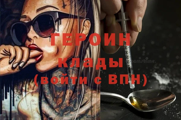 амф Ельня