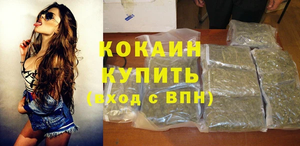 амф Ельня
