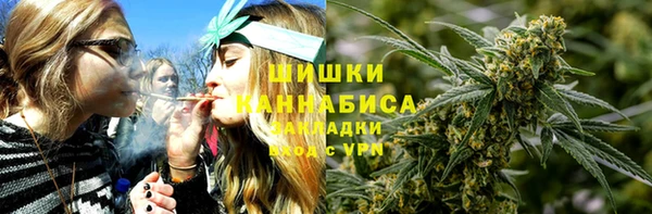 амф Ельня