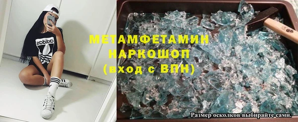 амф Ельня